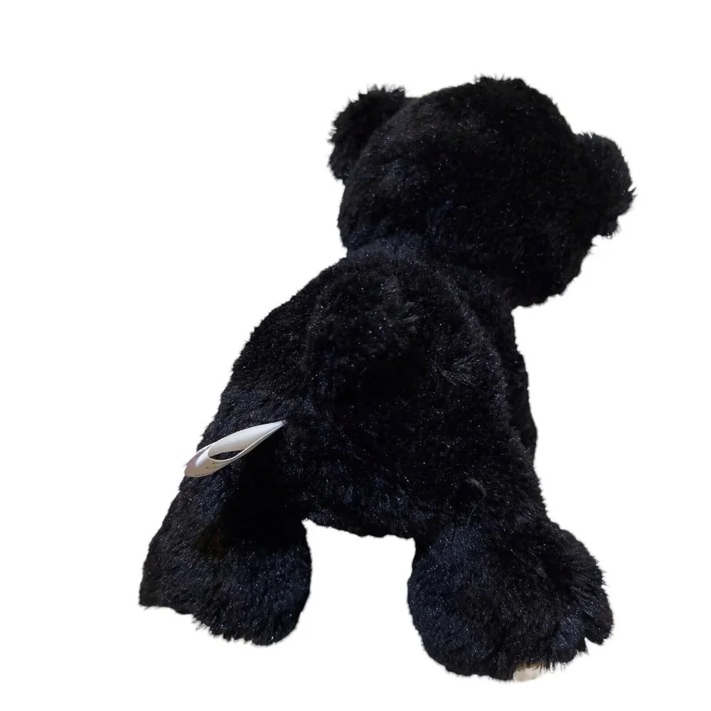 Aurora 2017 black